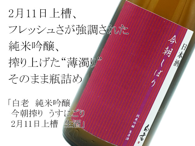 白老　純米吟醸　今朝搾り　うすにごり　2月11日上槽　生酒（テキスト付）