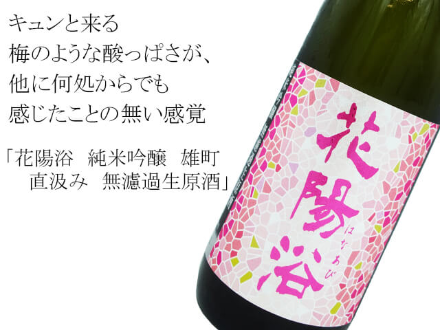 店頭抽選販売 】花陽浴（はなあび） 純米吟醸 雄町 直汲み 無