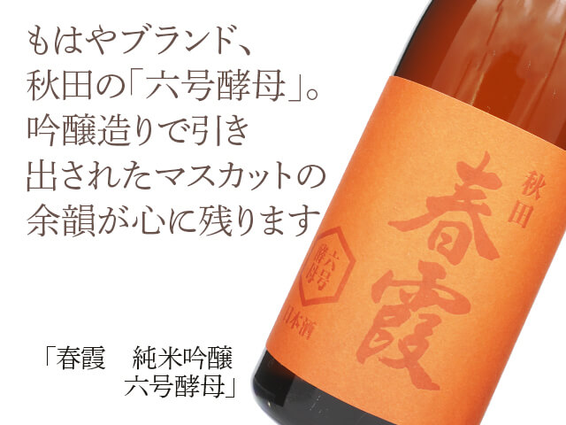 春霞（はるかすみ）　純米吟醸　六号酵母（テキスト付）