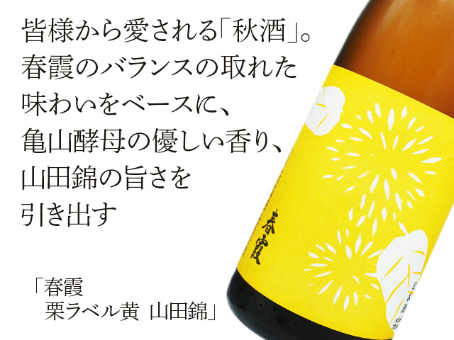 春霞（はるかすみ）　栗ラベル黄　山田錦（テキスト付）