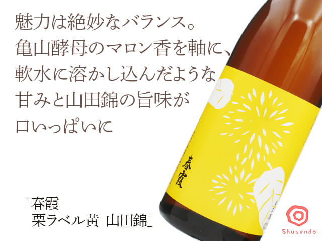 春霞(はるかすみ) 栗ラベル黄 山田錦(テキスト付)