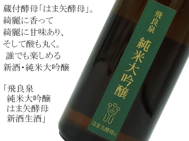 飛良泉　純米大吟醸　はま矢酵母　新酒生酒（テキスト付）