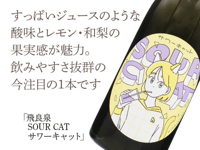 飛良泉（ひらいずみ）サワーキャット（テキスト付）