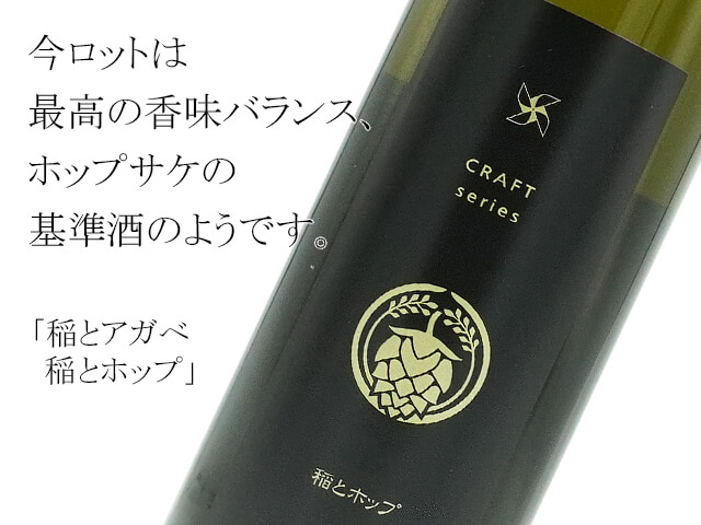 稲とアガべ　稲とホップ（テキスト付）