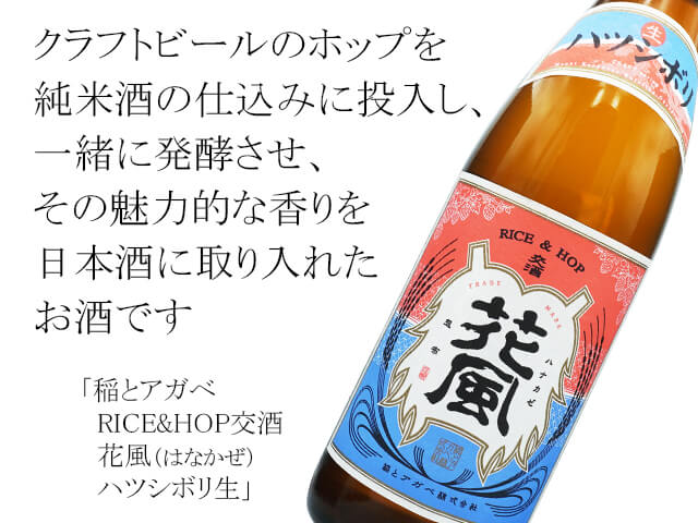 稲とアガベ　RICE&HOP交酒　花風（はなかぜ）ハツシボリ生（テキスト付）