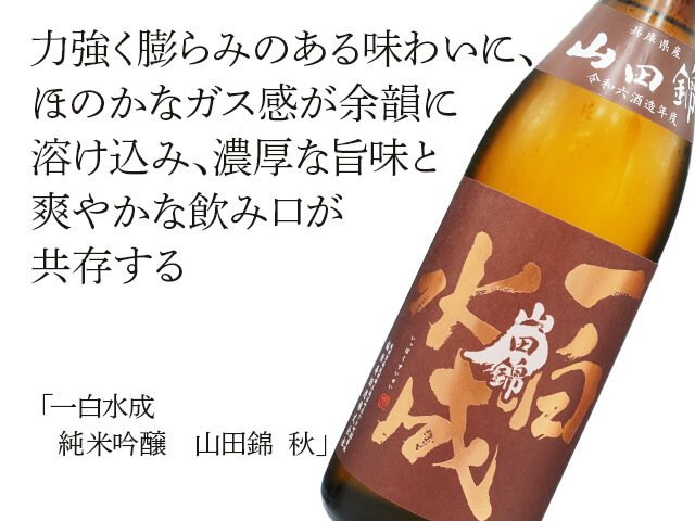 一白水成（いっぱくすいせい） 純米吟醸 山田錦 秋 1800ml