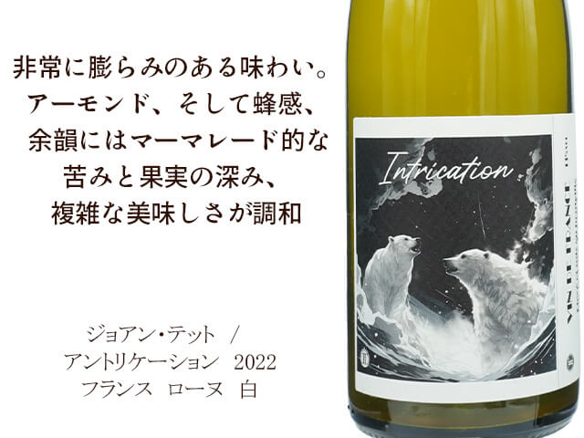 Johan Tete　ジョアン・テット　/　Intrication アントリケーション　2022　（テキスト付）