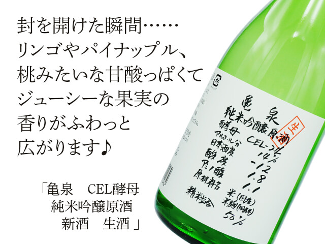 亀泉（かめいずみ）　CEL酵母　純米吟醸原酒　新酒　生酒（テキスト付）