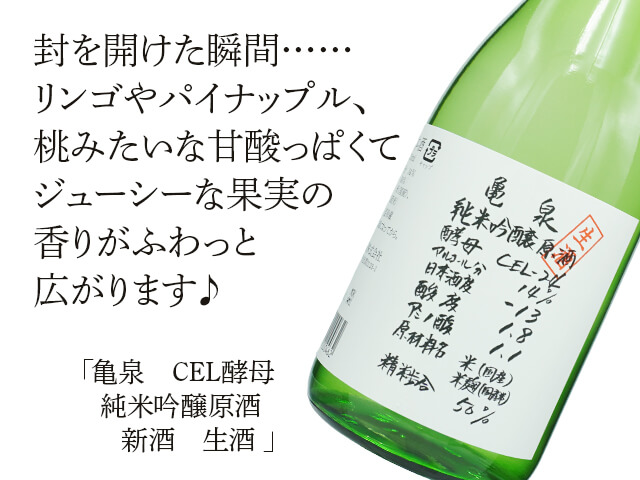 亀泉（かめいずみ）　CEL酵母　純米吟醸原酒　新酒　生酒（テキスト付）