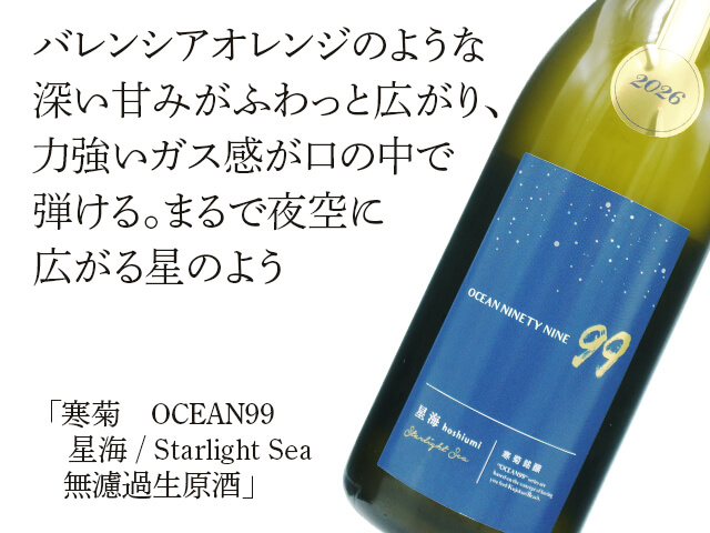 2026年6月22日（月）発送開始予定 寒菊（かんきく） OCEAN99 星海
