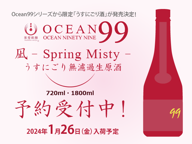 寒菊（かんきく） OCEAN99　凪-SpringMisty