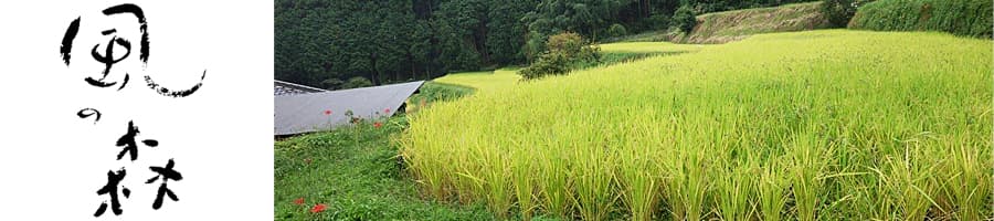 風の森　油長酒造