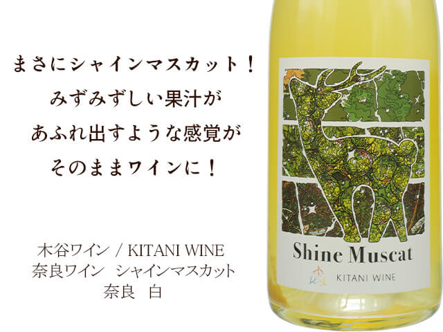 木谷ワイナリー / KITANI WINE 　奈良ワイン　シャインマスカット（テキスト付）