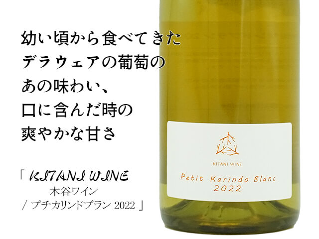 木谷ワイン　Petit Karindo Blanc 2022（テキスト付）