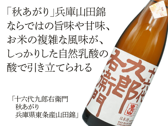 十六代九郎右衛門（じゅうろくだいくろうえもん）　秋あがり　兵庫県東条産山田錦（テキスト付）