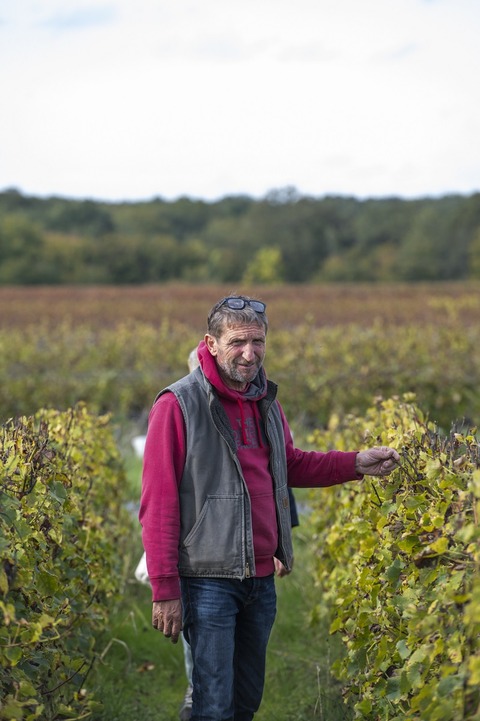 le-clos-du-tue-boeuf-vin-rose_ph04