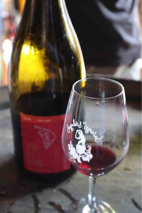 le-raisin-plume_ph01