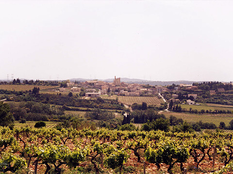 エステザルグ協同組合イメーじ２