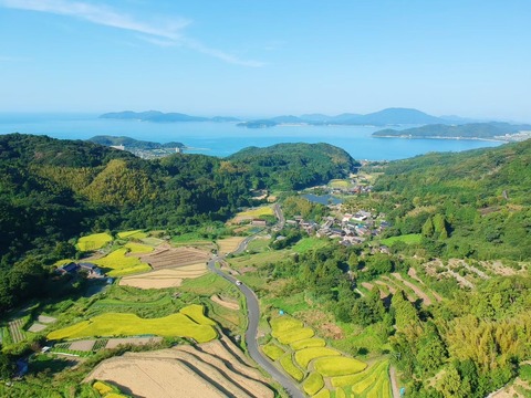 LIBROM画像3