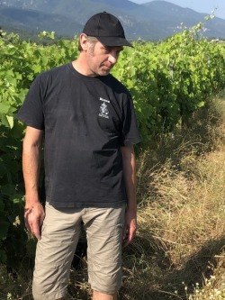 ドメーヌ・レオニヌ ケ・パサ ？ロゼ