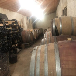 ダール・エ・リボイメージ4