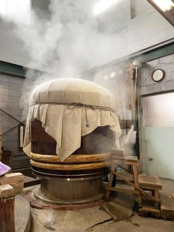 白老イメージ１