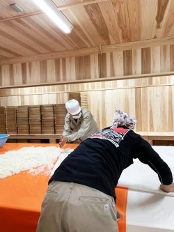 白老イメージ２