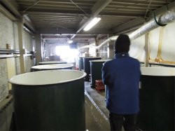 米宗イメージ１