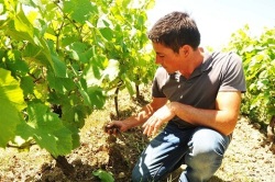 ニコラ・ストーイメージ１