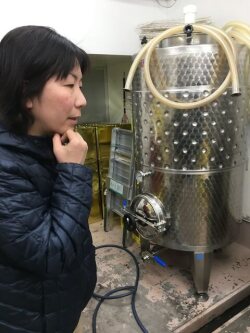 東京ワイナリーイメージ２