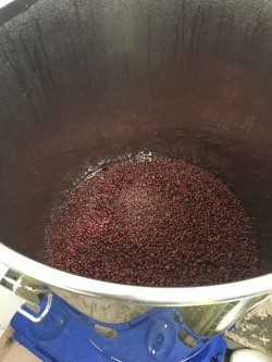 東京ワイナリーイメージ７