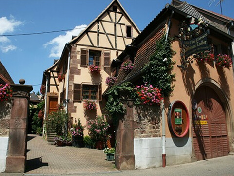 メゾンゾエラーイメージ２