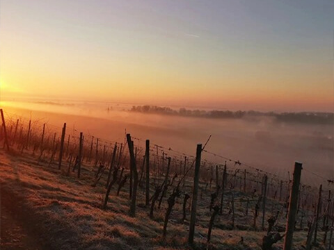 メゾンゾエラーイメージ３