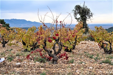 marcel-richaud_ph001