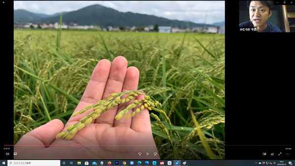 みむろ杉