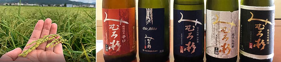 みむろ杉