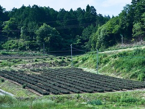 奈良醸造イメージ1