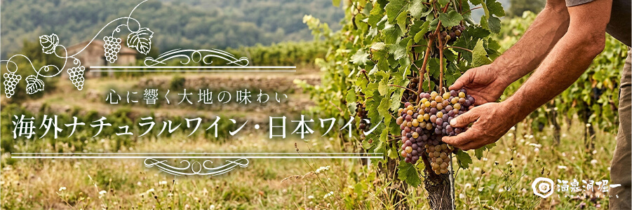 海外ナチュラルワイン、日本ワインバナー