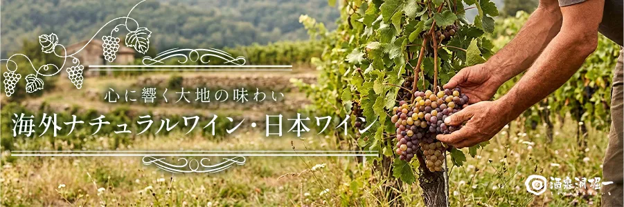 海外ナチュラルワイン、日本ワインバナー