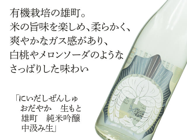 にいだしぜんしゅ おだやか 雄町 生もと 純米吟醸 中汲み 生酒 720ml