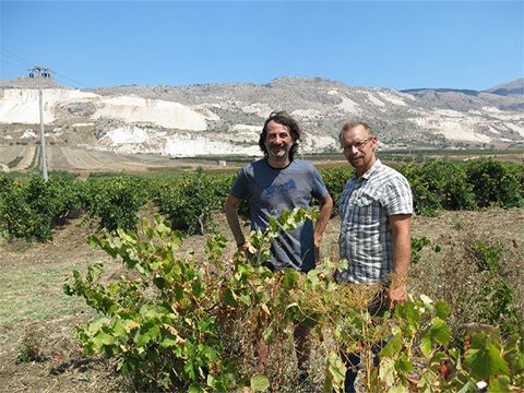 ヌースイメージ