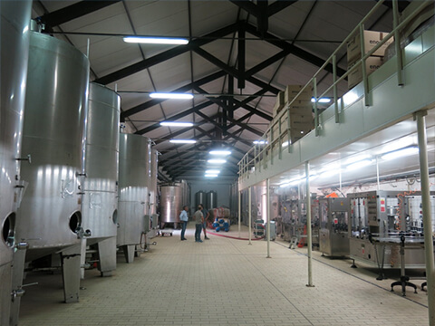 ヌースイメージ３