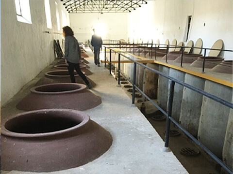 エンセルルアルイメージ１