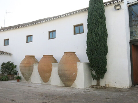 エンセルルアルイメージ3