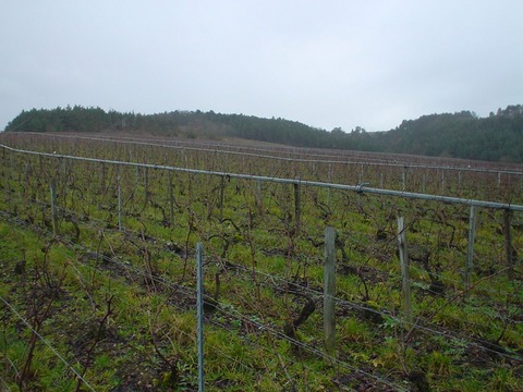 richard-cheurlin_ph004