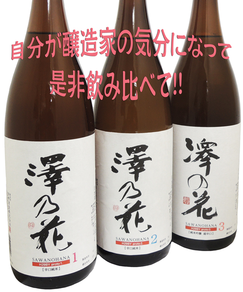 澤乃花　Proto1 辛口純米