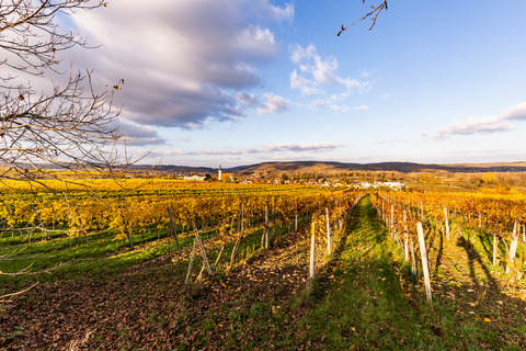 schlosskellerei_ph02