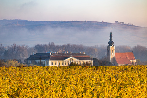 schlosskellerei_ph03