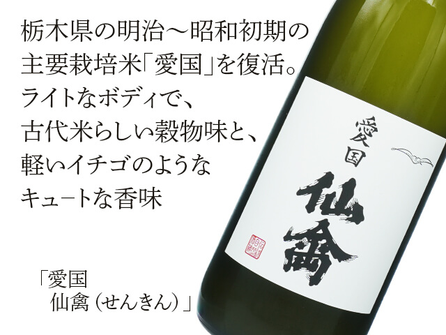 愛国　仙禽（せんきん）（テキスト付）