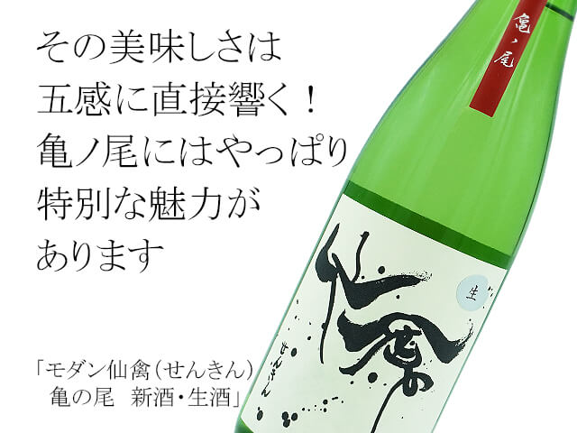 モダン仙禽（せんきん）　亀の尾　新酒・生酒（テキスト付）